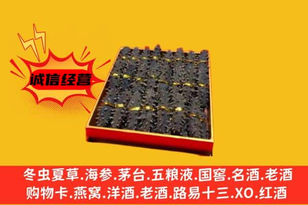 绥化海伦市回收海参